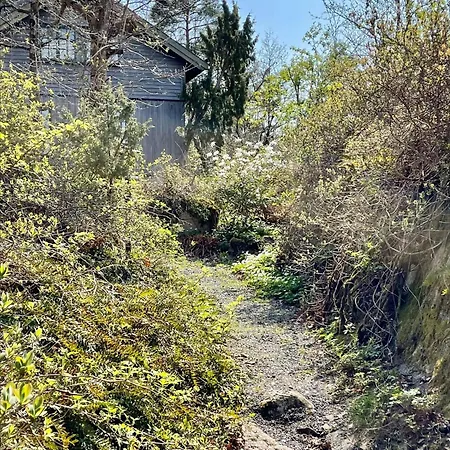 Seaside With Unique View And Design *