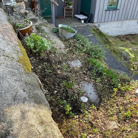 Seaside With Unique View And Design סאנדפיורד